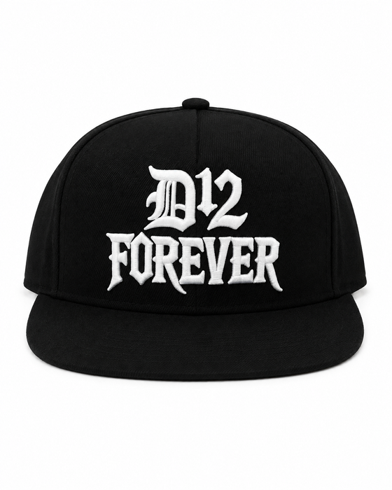 D12 FOREVER 3D SNAPBACK
