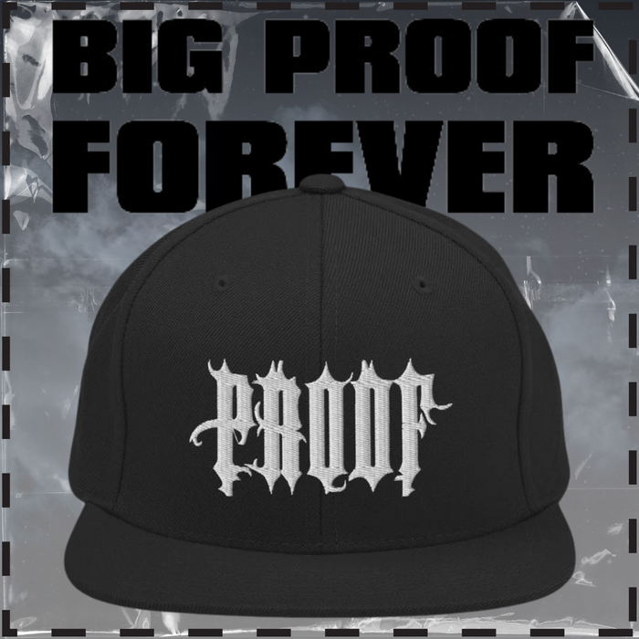 Proof Snapback Hat